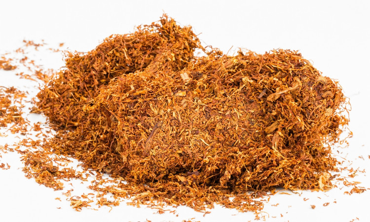 tabaco rubio para entubar y precio